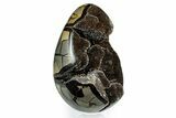 Septarian Dragon Egg Geode - Sparkly Black Crystals #339343-2